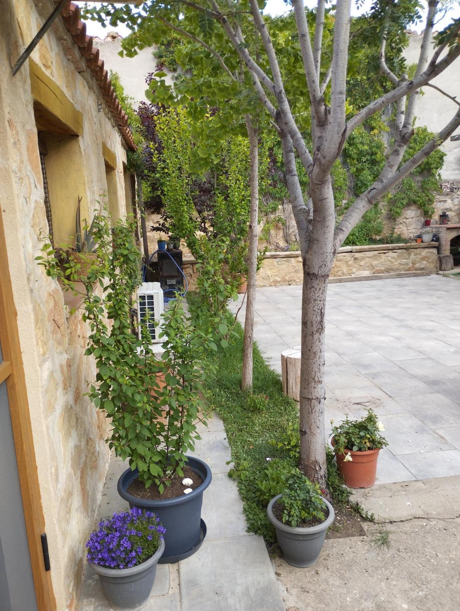 Casa Rural El Olivo Puigmoreno Ngoại thất bức ảnh